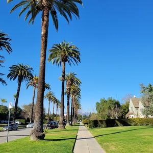 Meet your Posher, Marisol